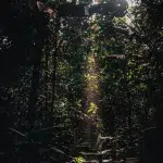 Abenteuer Panama: Dschungel bei Bocas del Toro