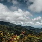 Ausblick über die grünen Hügel in Boquete Panama
