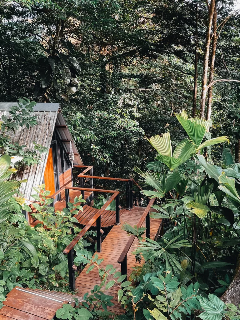 Unterkunft in mitten des Dschungels von Bocas del Toro.