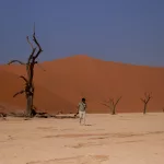 Mann inmitten toter Bäume im Deadvlei umgeben von Dünen