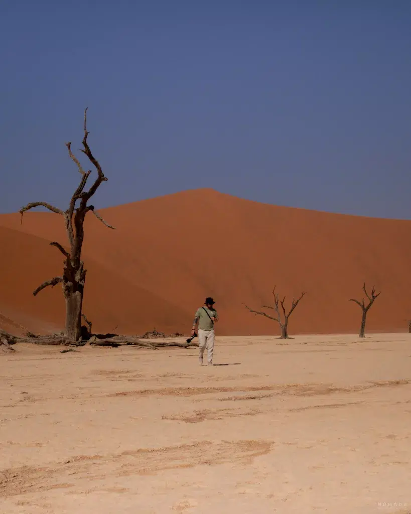 Mann inmitten toter Bäume im Deadvlei umgeben von Dünen
