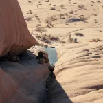 Blick vom Felsen über das natürliche Wasserbecken an der Spitzkoppe, Namibia