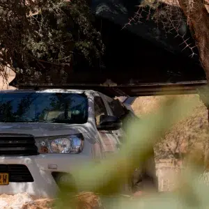 weißer Pickup mit Dachzelt steht im Schatten eines Baumes und wird von unscharfen Pflanzen im Vordergrund leicht verdeckt