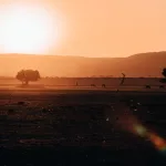 Sonnenuntergang mit Blick auf Bäume, Düne und Tiere vom Sesriem Oshana Camp