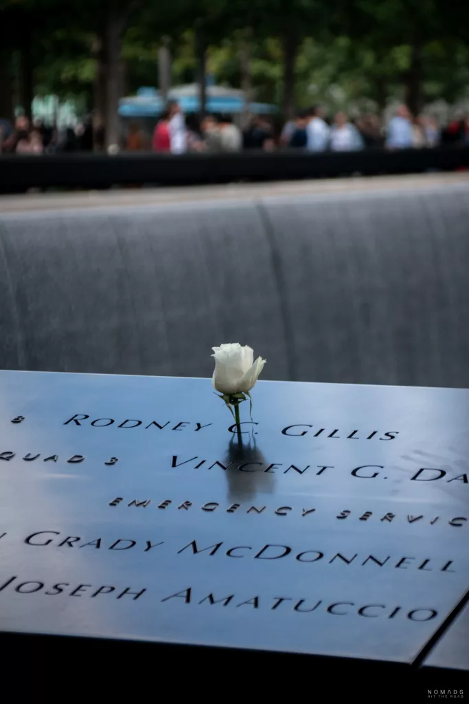 911 Memorial mit Rose