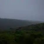 Neblige, mystische Landschaft des Addo Elephant National Park
