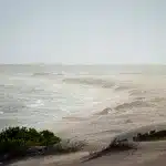 Ausblick von Düne auf Meer und Strand im De Hoop Nature Reserve auf der Garden Route