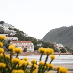 Ausblick auf Hügel in Häuser in Knysna Lagune mit Blumen im Vordergrund