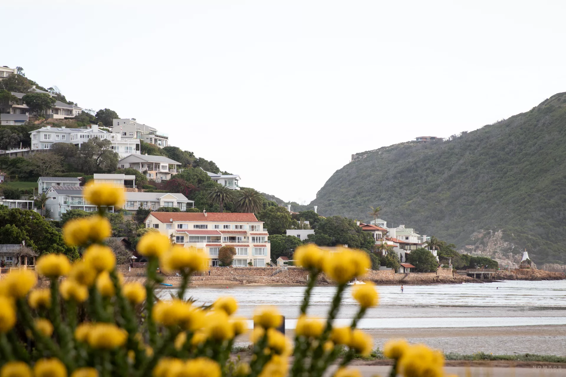 Ausblick auf Hügel in Häuser in Knysna Lagune mit Blumen im Vordergrund