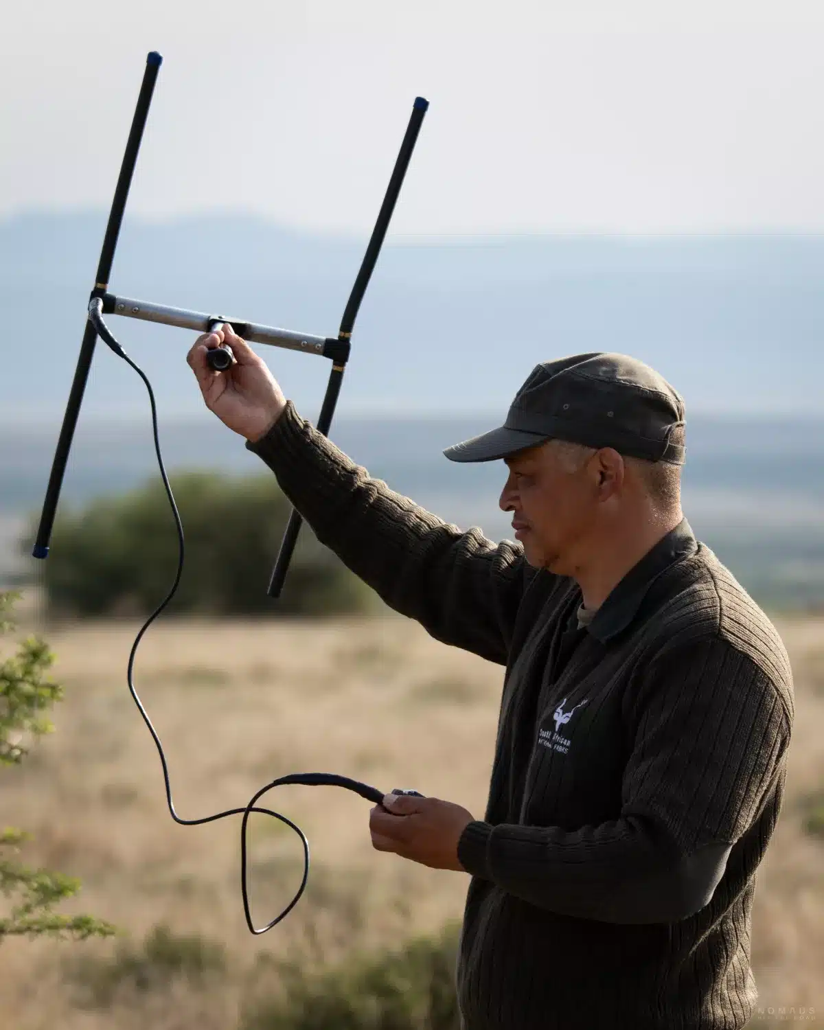 Guide sucht mit einem Empfänger das Signal der Raubkatzen während des Geparden Trackings