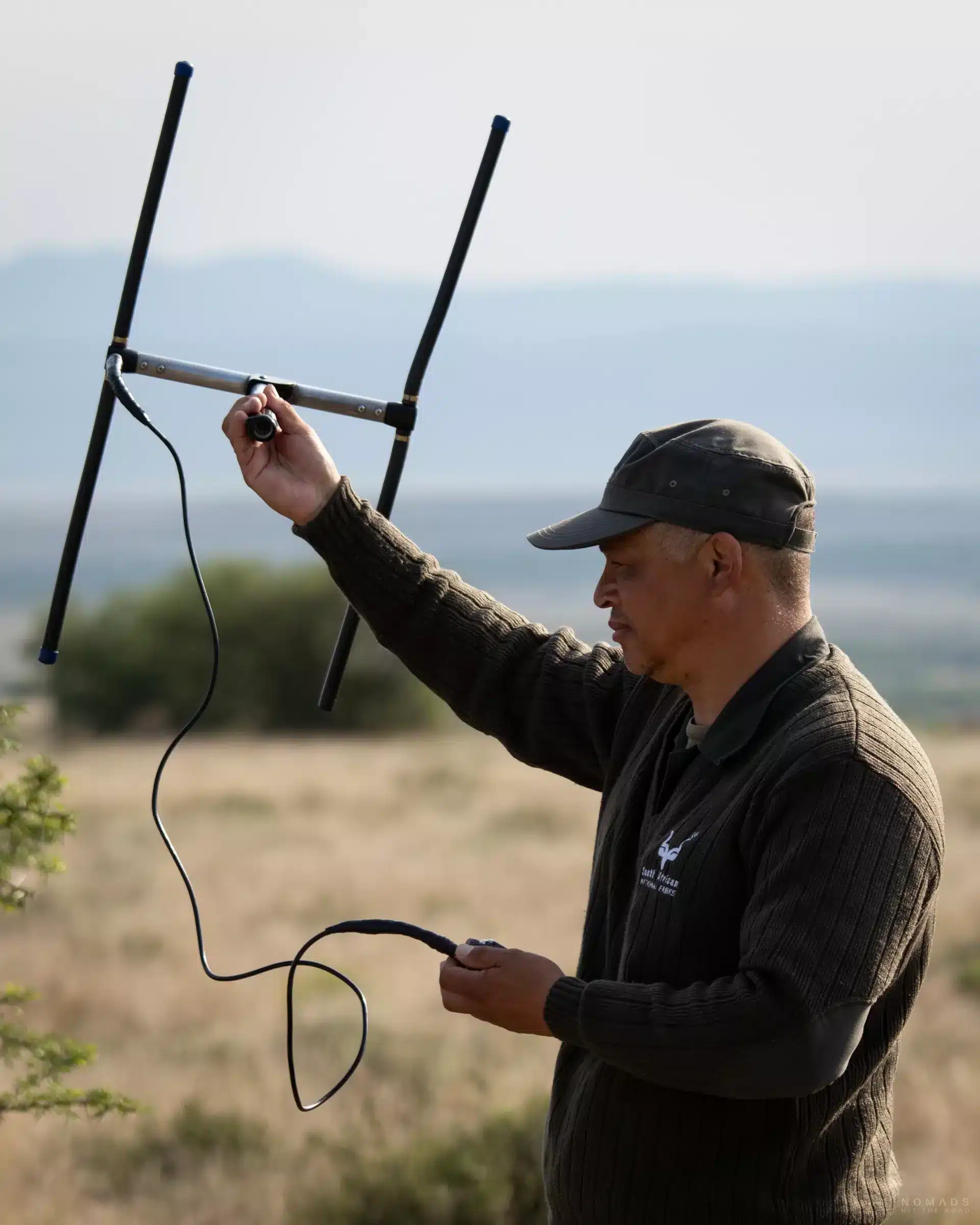 Guide sucht mit einem Empfänger das Signal der Raubkatzen während des Geparden Trackings