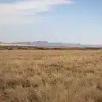 Landschaft im Mountain Zebra Park