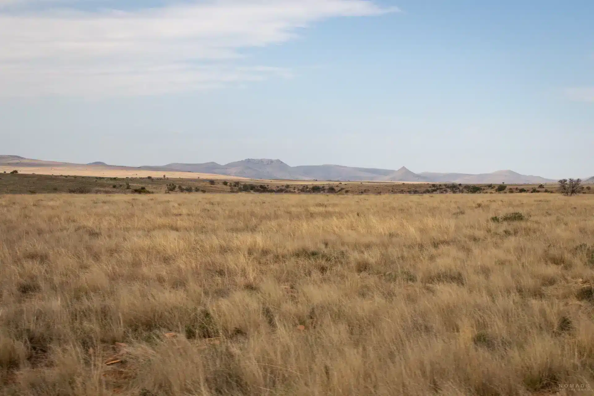 Landschaft im Mountain Zebra Park