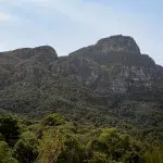 Blick auf den Tafelberg aus dem Kirstenbosch mit seiner Artenvielfalt von Flora und Fauna.