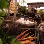 Frische Möhren und Pilze auf dem Oranjezicht City Farm Market