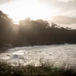 Sonne scheint durch die Bäume am Rand der Küste von Asturien
