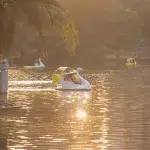 Tretboot auf einem See zur Golden Hour