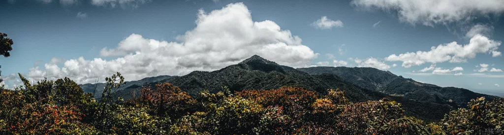 Ausblick über die grünen Hügel in Boquete Panama