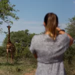 Frau fotografiert eine Giraffe außerhalb des Autos auf einem Estate