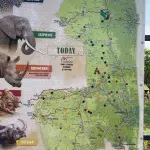 Bild mit Magneten für Tiersichtungen im Kruger National Park