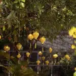Neuhjahrsschmuck in Vietnam auf dem Gelände der Lady Buddha