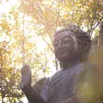 Buddha Statue mit warmen Licht, das durch die Bäume fällt
