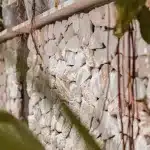 Typische Mauer der Malediven aus alten Korallen