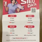 Informationen über Data Paket für Sim Karten in Vietnam