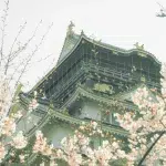 Osaka Castle durch Kirschblüten