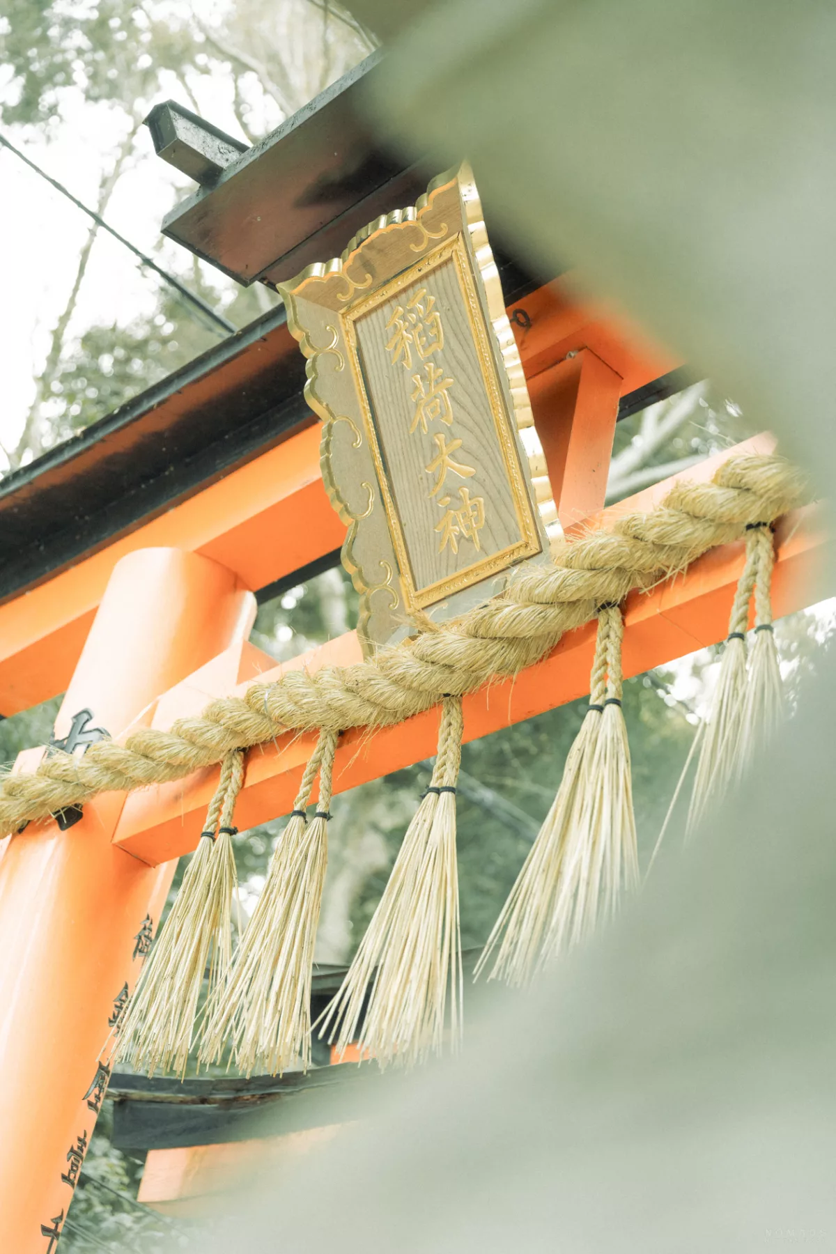 Kyōto entdecken – Unsere Highlights und Tipps für deine Reise