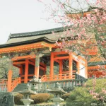 Kirschblüten vor einem der bekanntesten Temple Kyōtos Kiyomizu-dera Schrein.