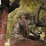 Überreste eine Buddha Statue im Wat Phra Si Sanphet vor vor den Blättern eines Baumes