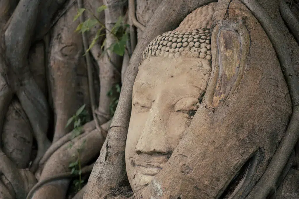 Ayutthaya in thailand 17 Ayutthaya: Die 5 wichtigsten Sehenswürdigkeiten in der Stadt der Könige