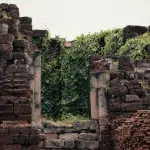 Bewachsene Mauern im Wat Ratchaburana