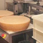 Aufgeschnittener Parmigiano Laib