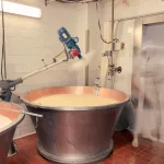 Kessel mit Milch zur Verarbeitung zum Parmigiano