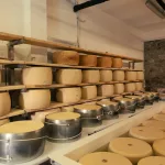 Parmigiano Laibe im Lagerraum und in Salzlake