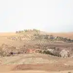 Hügelige Landschaft mit Feldern und Zypressen in der Toskana