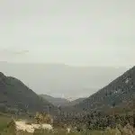 Panoramablick auf ein bewaldetes Tal im Pirin Gebirge, das sich in die Ferne erstreckt, umgeben von hohen Bergketten.