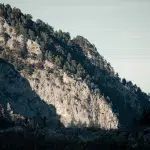 Blick auf einen bewaldeten Berghang im Pirin-Gebirge, der von der untergehenden Sonne in warmes Licht getaucht wird.