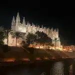 Die beeindruckend beleuchtete Kathedrale von Palma de Mallorca, „La Seu“, bei Nacht, mit reflektierenden Lichtern entlang des Wassers und Palmen im Vordergrund.