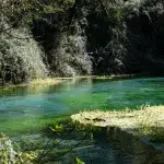 Umgebung des Blauen Auges (Syri i Kaltër) in Albanien, mit türkisfarbenem Wasser und üppiger Natur.