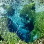 Das Blaue Auge (Syri i Kaltër) in Albanien – eine tiefblaue Quelle mit kristallklarem Wasser, umgeben von grüner Vegetation.