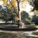 Springbrunnen im Park: Ein eleganter Springbrunnen in einem Park, umgeben von Bäumen und Bänken. Das Wasser sprudelt in feinen Strahlen und reflektiert die goldenen Sonnenstrahlen.