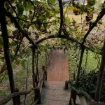 Holztreppe mit Weinrebenüberdachung auf einem Weingut in der Nähe von Berat, Albanien.