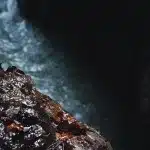 Detailaufnahme von nassem, mit Laub bedecktem Gestein am Rand des Flusses in der Partnachklamm.