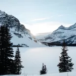 Blick über den zugeschneiten Bow Lake mit einer Bergkette im Hintergrund und Tannen am vorderen Ufer