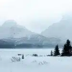 In Nebel gehüllte Bergkette am verschneiten Bow Lake mit einer Reihe von Tannen am Ufer