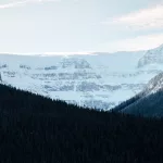 Blick auf den Stufield Glacier mit schneebehangenen Bergen und davor steht ein dicht bewachsener Tannenwald