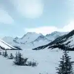 Verschneite Schneelandschaft mit Bergen und Tannen sowie blauem Himmel im Banff Nationalpark